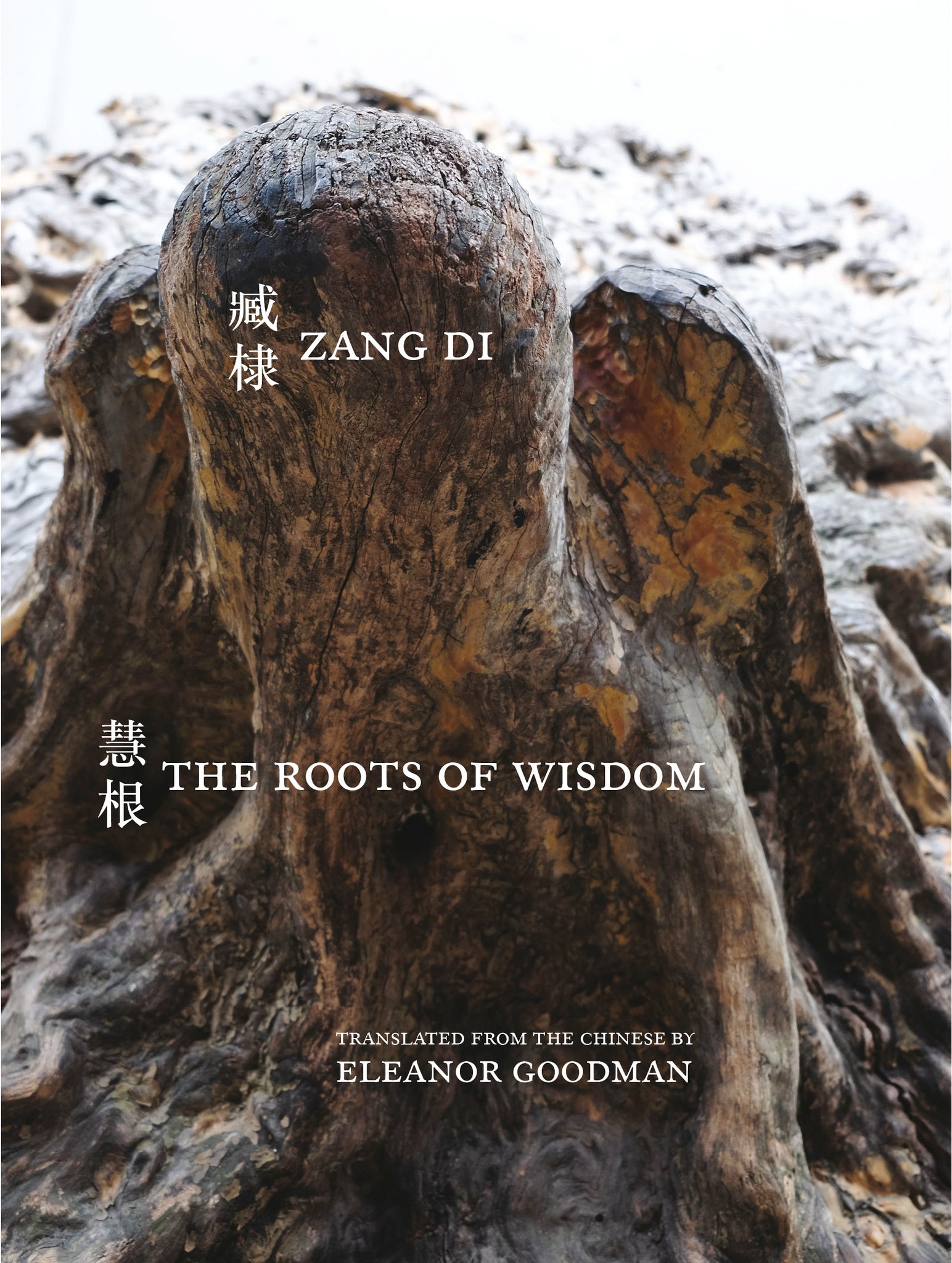 The Roots of Wisdom